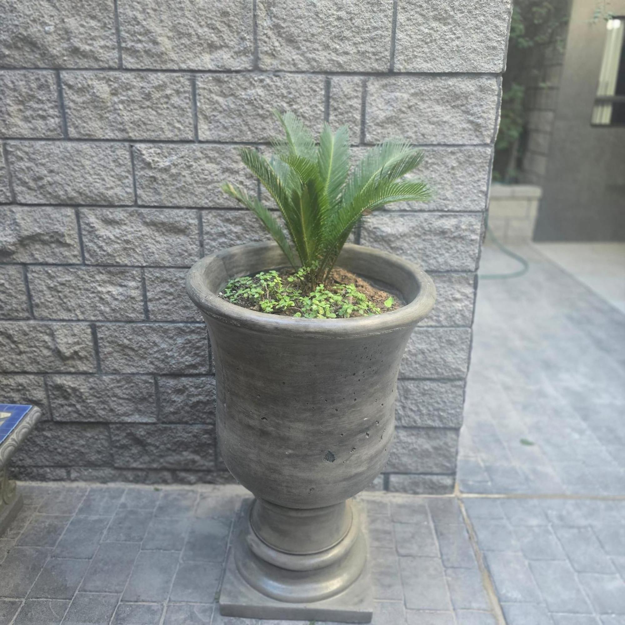 פורטו פנאסקו Playas Hotel Suites מראה חיצוני תמונה